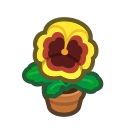 Yellow Pansy Plant for Animal Crossing: New Horizons