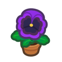 Purple Pansy Plant Animal Crossing New Horizons | ACNH Critter - ACNHMALL