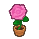 Pink Rose Plant Animal Crossing New Horizons | ACNH Critter - ACNHMALL