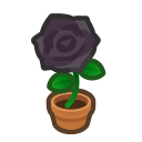 Black Rose Plant Animal Crossing New Horizons | ACNH Critter - ACNHMALL