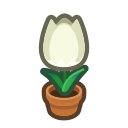 White Tulip Plant for Animal Crossing: New Horizons