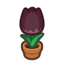 Black Tulip Plant Animal Crossing New Horizons | ACNH Critter - ACNHMALL