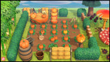 Pumpkin Farm