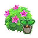 Pink Azalea Start