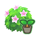 White Azalea Start
