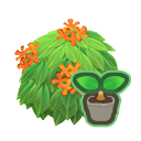 Orange Tea Olive Start Animal Crossing New Horizons | ACNH Critter - ACNHMALL