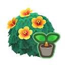 Yellow Hibiscus Start Animal Crossing New Horizons | ACNH Critter - ACNHMALL