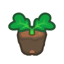 Tomato Start