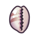 Cowrie Animal Crossing New Horizons | ACNH Critter - ACNHMALL