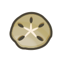 Sand Dollar Animal Crossing New Horizons | ACNH Critter - ACNHMALL