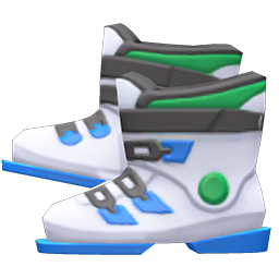 Ski Boots