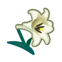 White Lilies Animal Crossing New Horizons | ACNH Critter - ACNHMALL