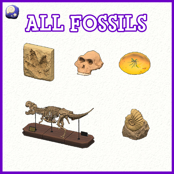 All Fossils